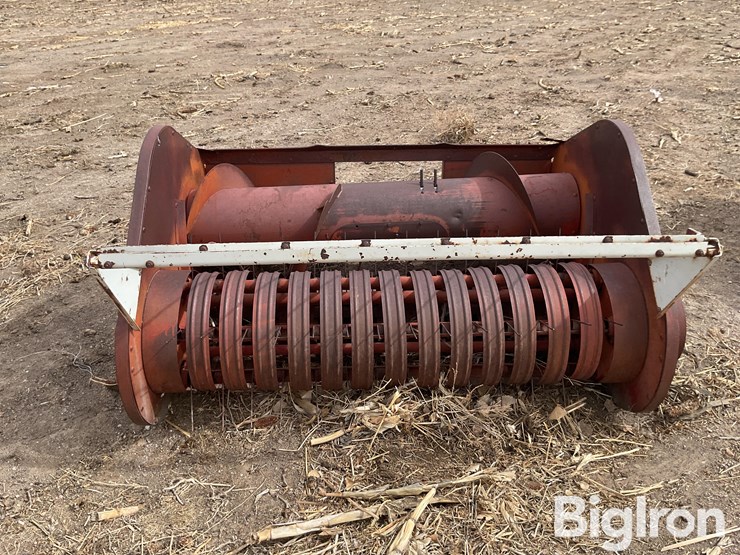 international-5-image-2