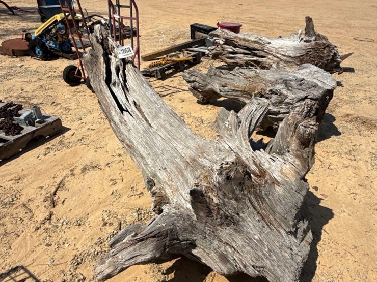 5235---fat-lighter-stump-image-3