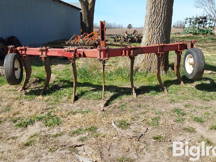 international-10-image-2