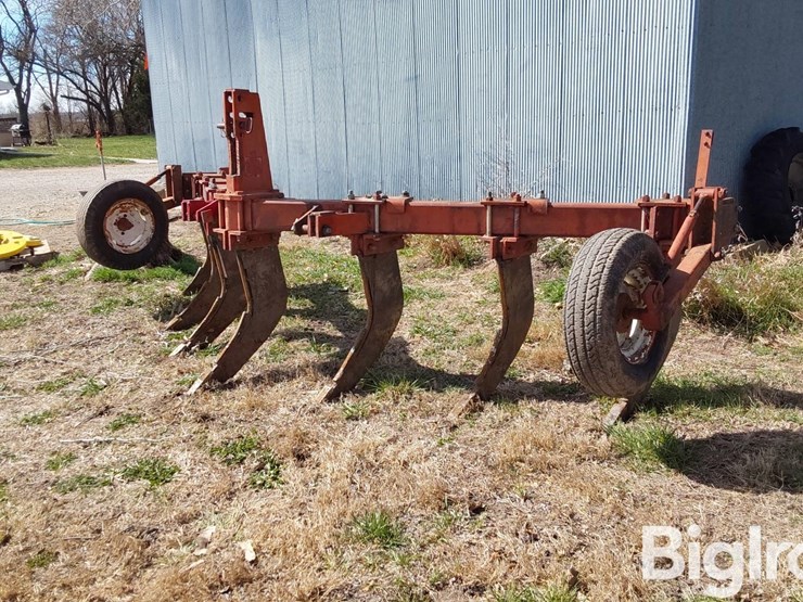 international-10-image-1