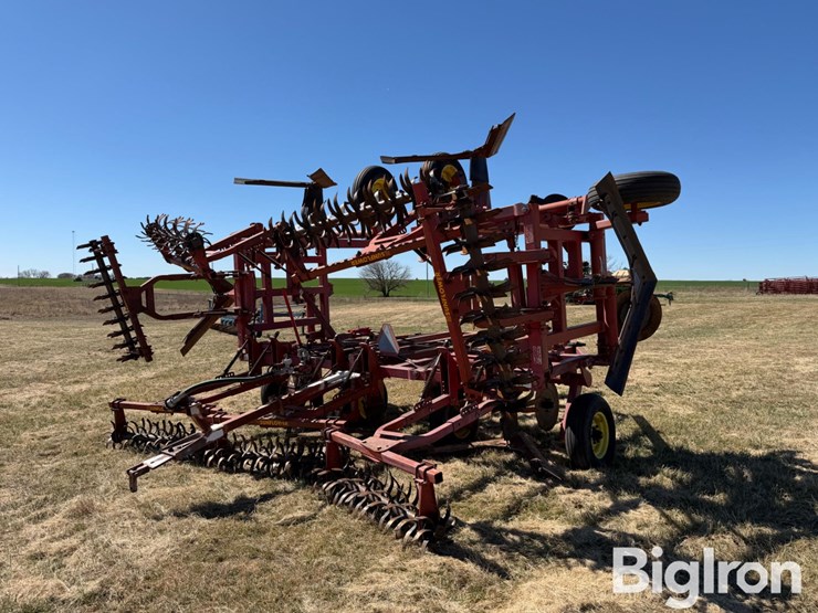 sunflower-3371-33-image-5