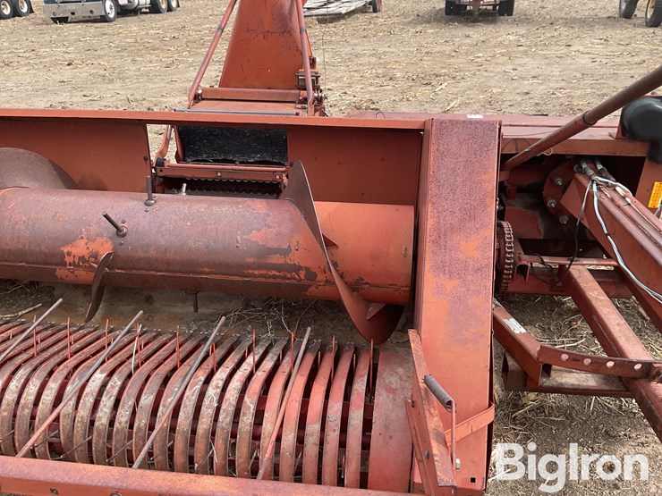 international-555-image-15