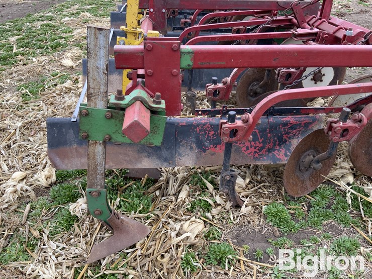 international-470-image-20