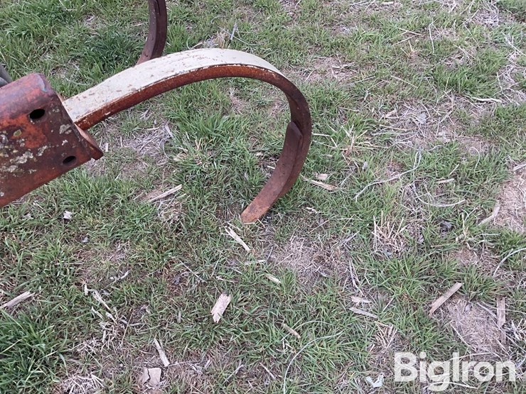 international-55-image-9