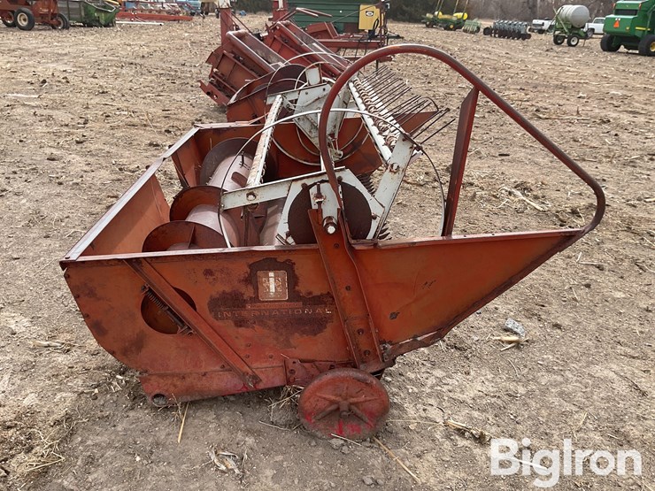 international-7-image-4