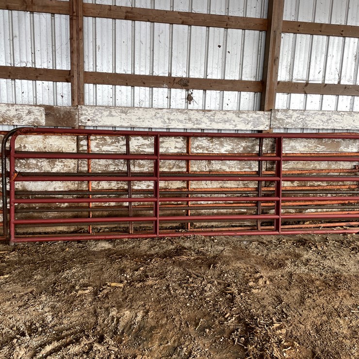 #2353 • (3) 16' Metal Gates