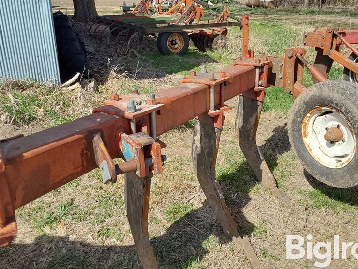 international-10-image-11