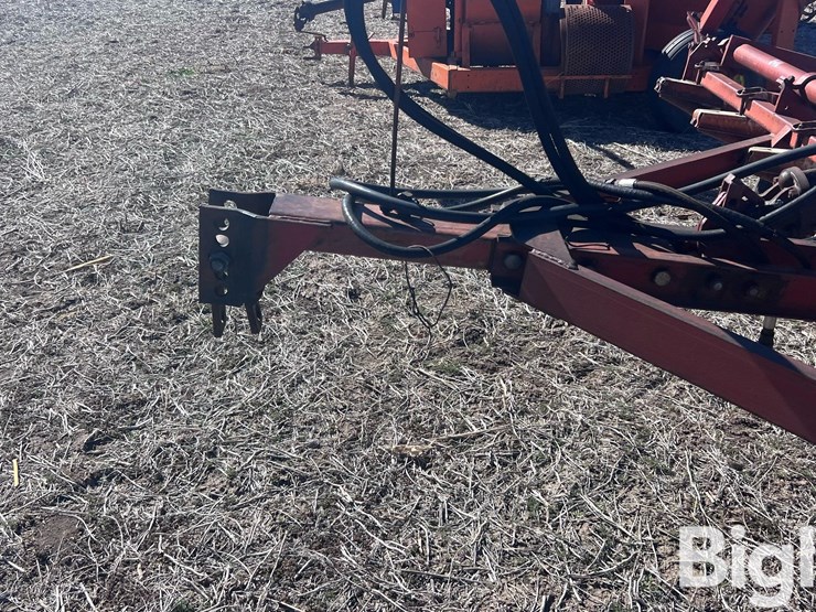 international-45-image-17