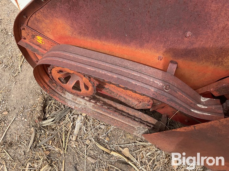 international-5-image-9