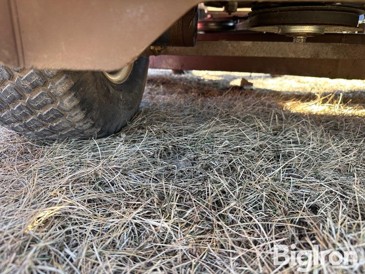 grasshopper-124-image-15