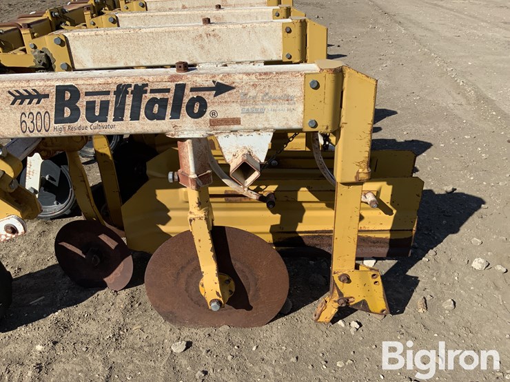 buffalo-6300-image-11