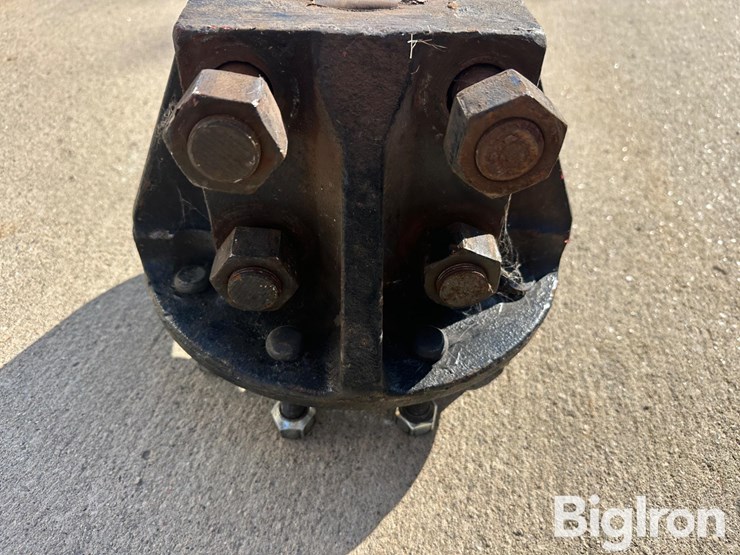 international-9-image-15