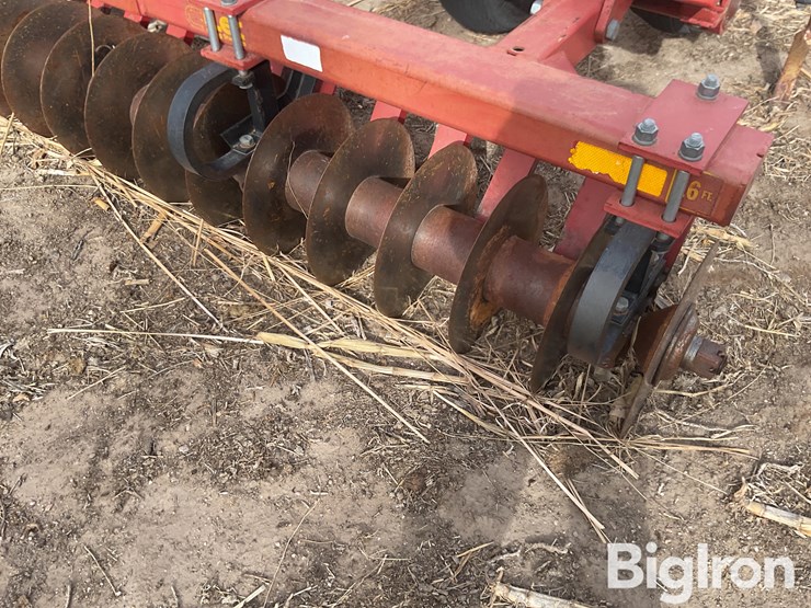 sunflower-4212-image-12