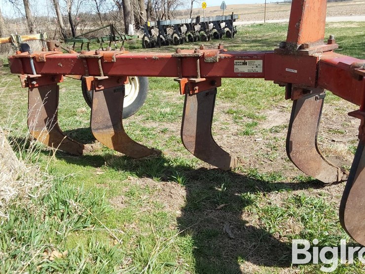 international-10-image-16