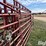 diamond-w-portable-folding-livestock-corral-image-17