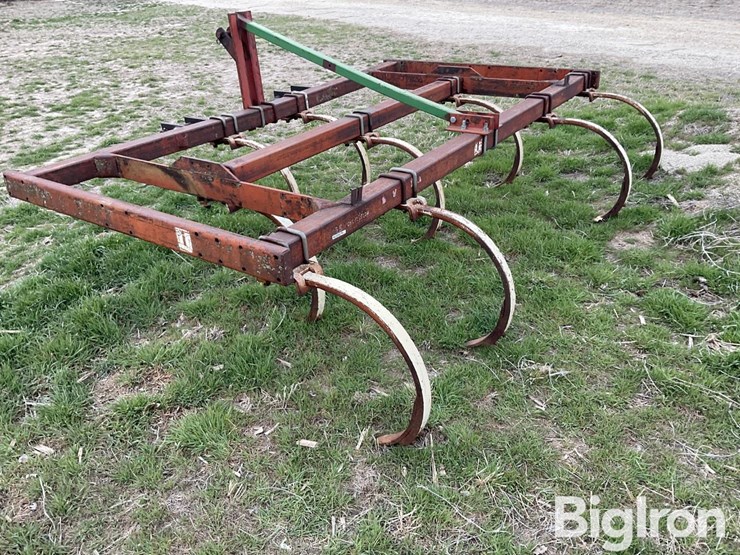 international-55-image-7