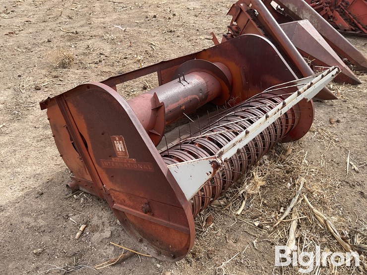 international-5-image-3