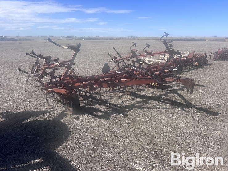 international-45-image-3