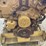 caterpillar-3208-image-11