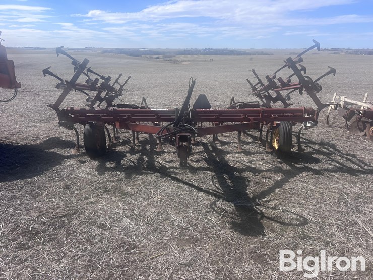 international-45-image-2