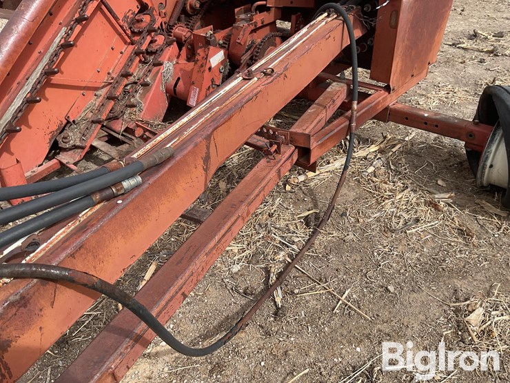 international-555-image-13