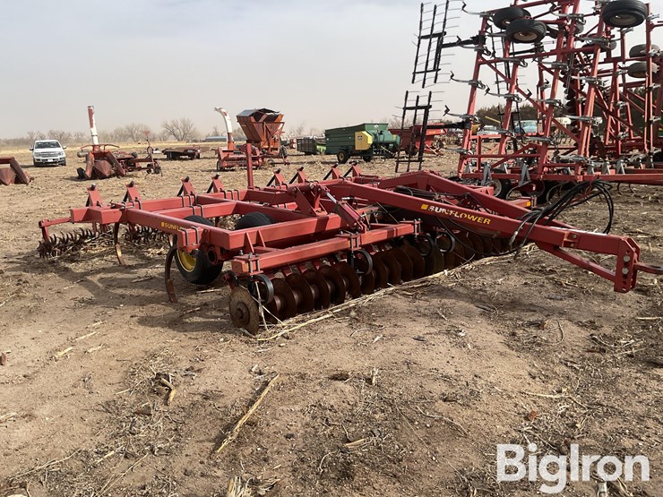 sunflower-4212-image-3