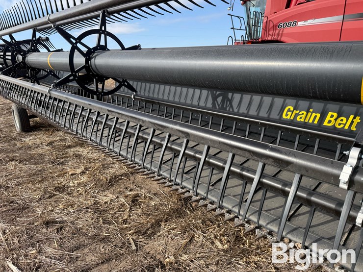 2016-honey-bee-sp36-image-20