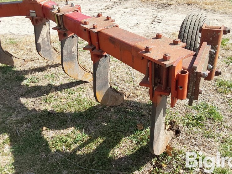 international-10-image-14