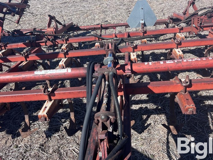 international-45-image-19