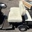#100-•-cricket-mini-golf-cart-image-1