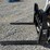 bobcat-42"-skid-steer-pallet-forks-image-5