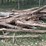 #84-•-bundle-of-cedar-post-&-(1)-electrical-pole-image-2