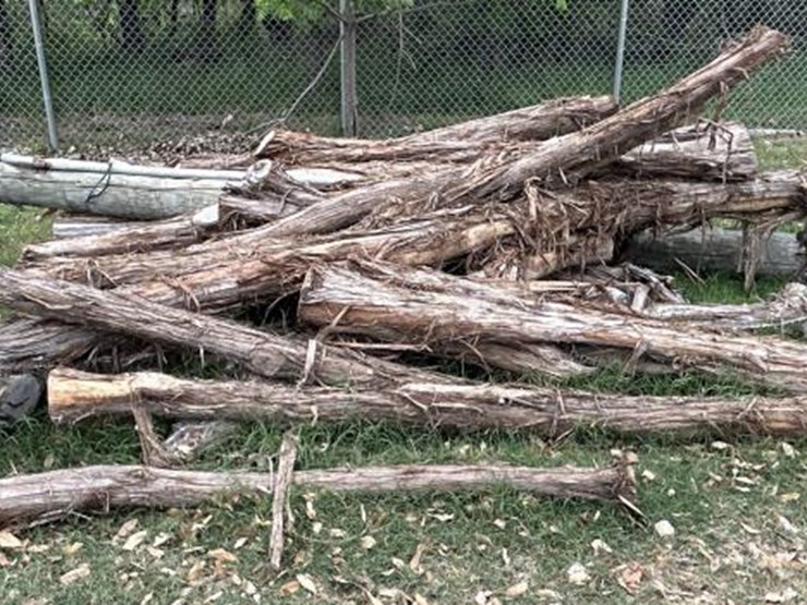 #84-•-bundle-of-cedar-post-&-(1)-electrical-pole-image-2