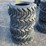 new-4-forerunner-12-16.5-skidloader-tires-image-3