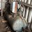 #259-•-stationary-air-compressor-image-1