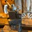 #210-•-lodge-&-shipley-20”-lathe-image-33