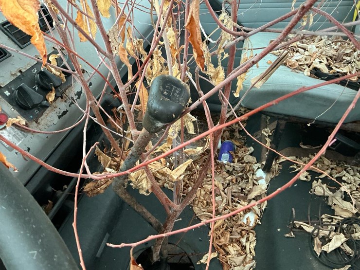 1995-freightliner-fl70-image-25