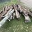 #84-•-bundle-of-cedar-post-&-(1)-electrical-pole-image-1