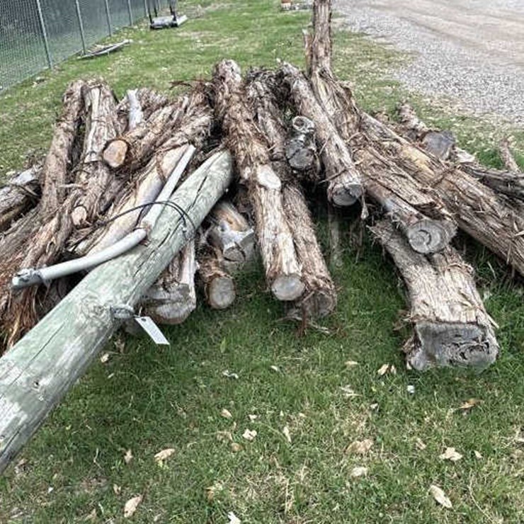 #84 • Bundle of Cedar Post & (1) Electrical Pole