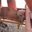 red-portable-pto-driven-feed-grinder-mixer,-steel-construction-image-33