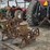 john-deere-3pt.-2-row-cornplanter-image-1