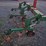 glencoe-3pt.-2-row-cultivator-image-5