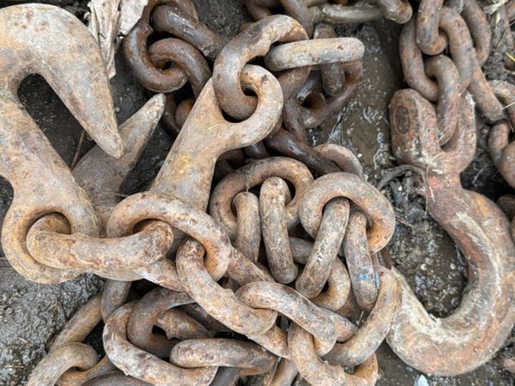 #246-•-heavy-chain-image-3