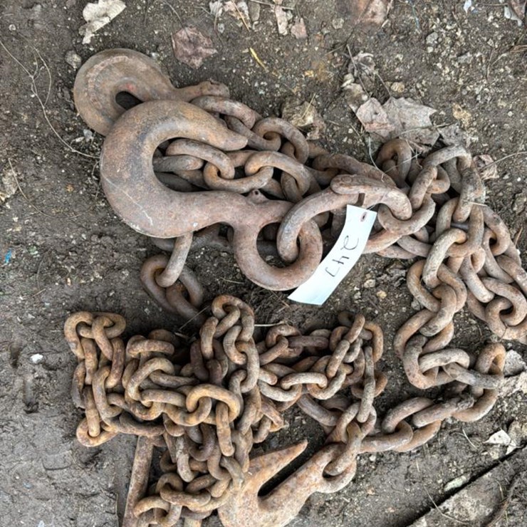 #247 • Heavy Chain