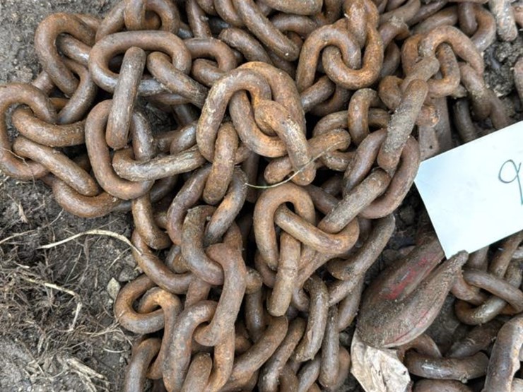 #246-•-heavy-chain-image-2