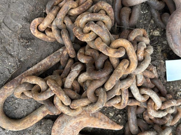 #247-•-heavy-chain-image-2