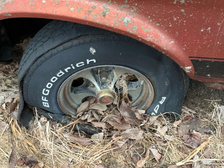 #308-•-1973-ford-mustang-image-32