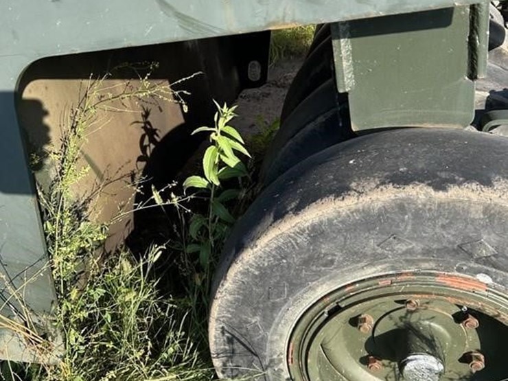 hamm-packer-492-image-11