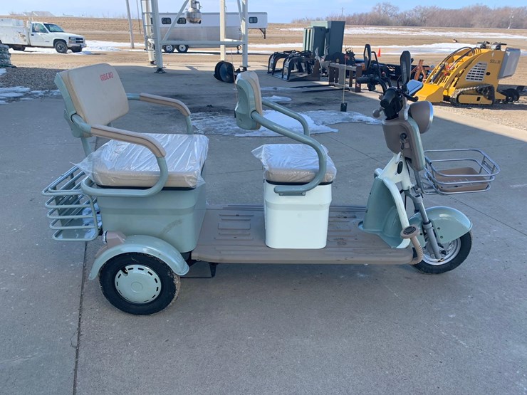 electric-cart-image-4