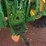 john-deere-6115d-image-42